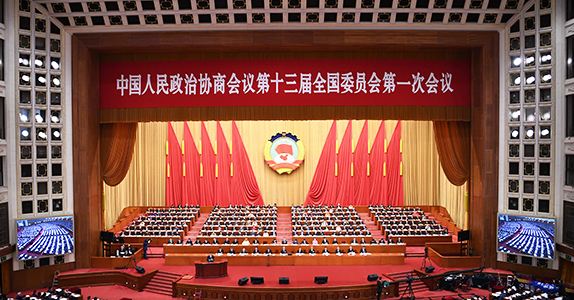 全國政協(xié)委員詹純新：企業(yè)走出去要“做主、做深、做透”