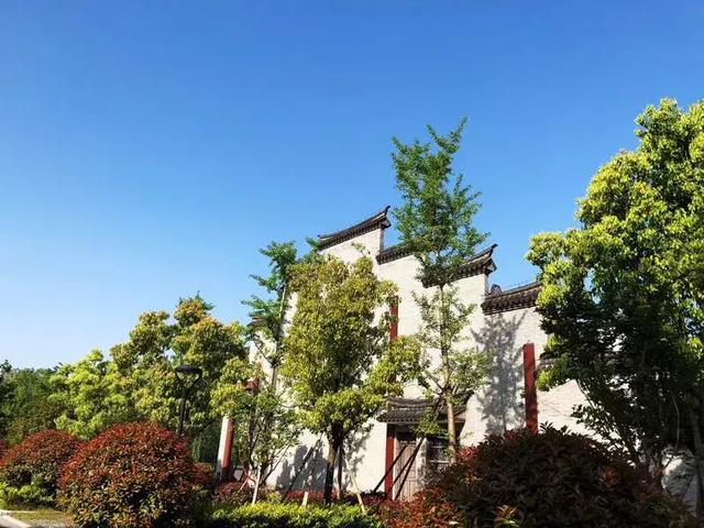 二審期間取得建設(shè)工程規(guī)劃許可證，仍可判施工合同有效！